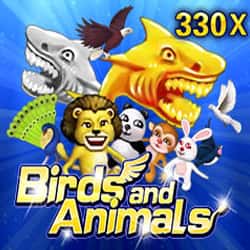 Birds and Animals